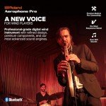 Roland AE-30 Aerophone Pro Digital Wind Instrument