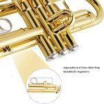 EASTROCK Bb Trumpet Starter Set with Case