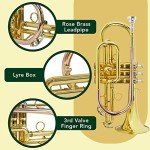 Montreux Bb Cornet for Beginners with Case