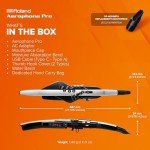 Roland AE-30 Aerophone Pro Digital Wind Instrument
