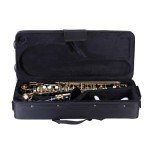 Golden Lacquered E Flat Alto Saxophone Bundle