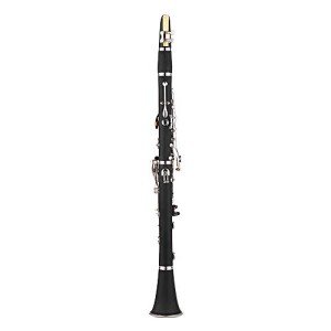 17-Key Bb Flat Soprano Clarinet with Accessories