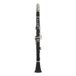17-Key Bb Flat Soprano Clarinet with Accessories