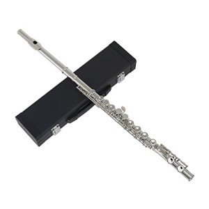 Andoer Concert Flute with Case and Accessories