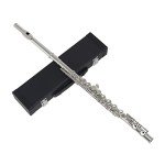 Andoer Concert Flute with Case and Accessories