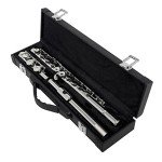 Andoer Concert Flute with Case and Accessories