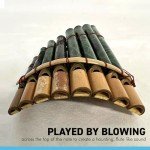 Peruvian Panpipes with Leaf Design - 8 Pipes