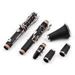 17-Key Bb Flat Soprano Clarinet with Accessories