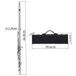 Andoer Concert Flute with Case and Accessories