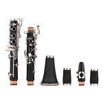 17-Key Bb Flat Soprano Clarinet with Accessories