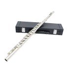 Andoer Concert Flute with Case and Accessories