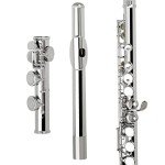 Andoer Concert Flute with Case and Accessories