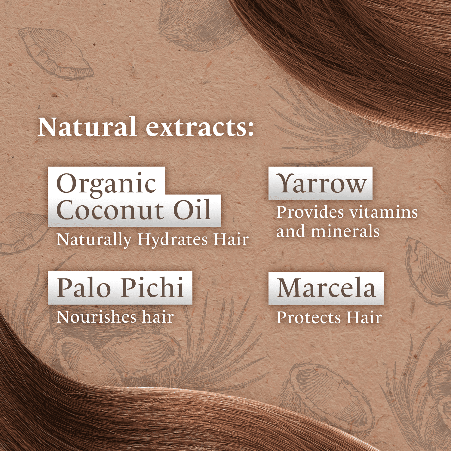 Coconut Oil Shampoo for Dry Hair, 14 Fl Oz