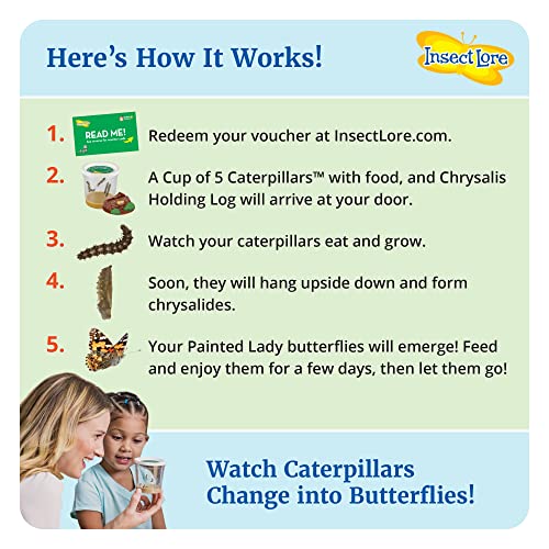Giant Butterfly Garden Kit with Habitat & Voucher