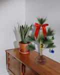 Christmas Tree Plunger - Funny Gag Gift