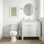 Korky BeehiveMAX Toilet Plunger for All Bowls