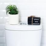 Funny Wooden Mini Books for Farmhouse Bathroom Decor