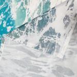 Funny Raccoon Riding Shark Shower Curtain for Kids