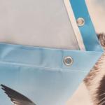 Funny Raccoon Riding Shark Shower Curtain for Kids