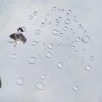 Funny Raccoon Riding Shark Shower Curtain for Kids