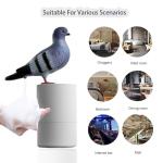 Funny Pigeon Soap Dispenser for Bathroom Humor