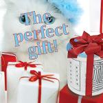 Funny Novelty Toilet Paper Roll for Gags