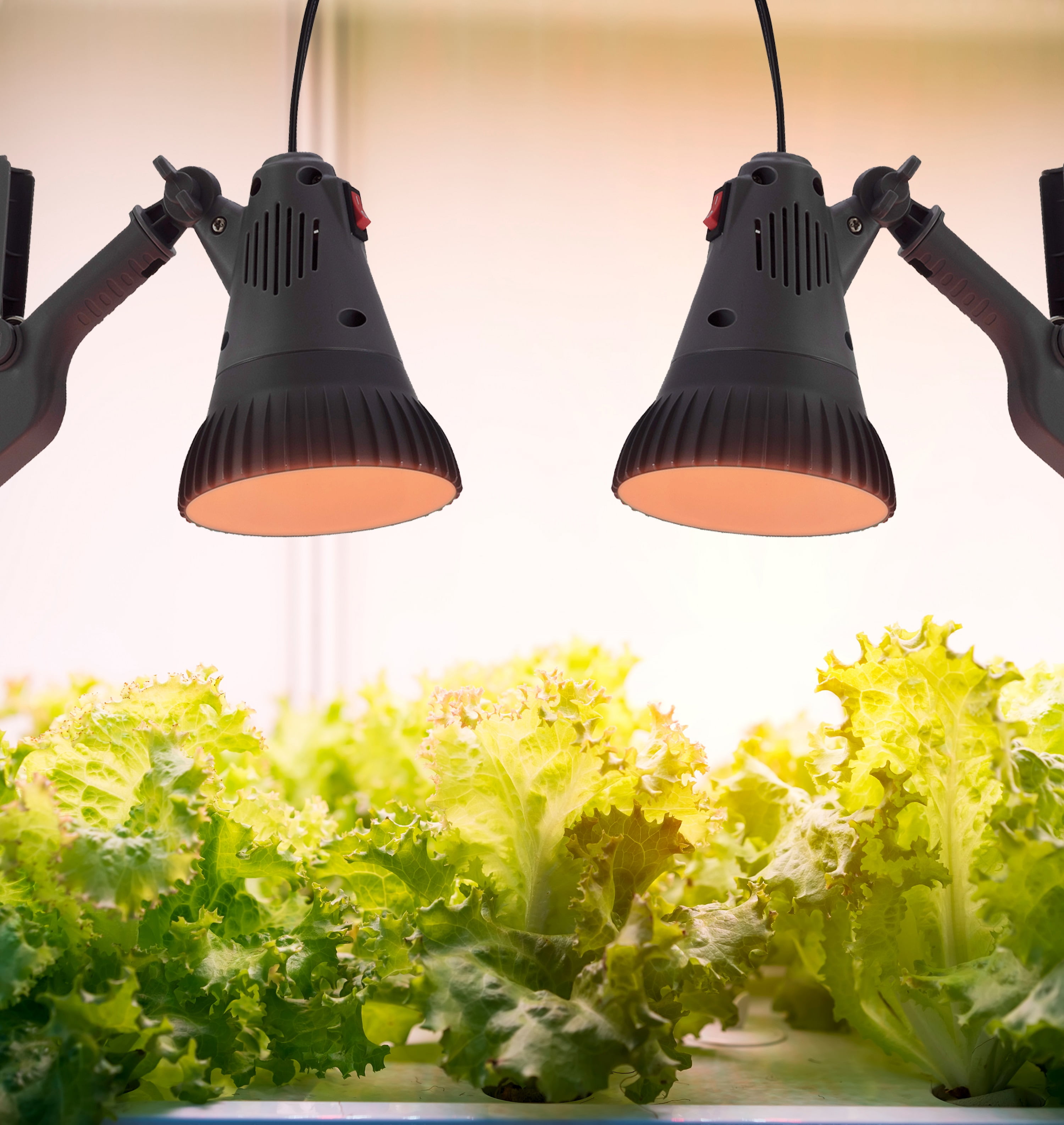 4.5" LED Full Spectrum Grow Light with Clamp