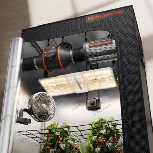 Spider Farmer 4x2 Complete Grow Kit