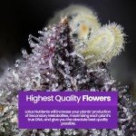 Lotus Nutrients Trio for Optimal Growth