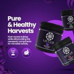 Lotus Nutrients Trio for Optimal Growth