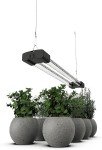 BoostGro LED Grow Light Full Spectrum (2 FT)