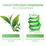 LANBENA Green Tea Blackhead Remover Peel-Off Mask