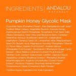 Andalou Naturals Pumpkin Honey Brightening Face Mask