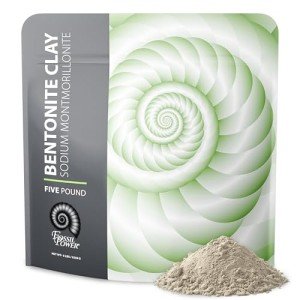 FOSSIL POWER Bentonite Clay Powder for Clean Skin