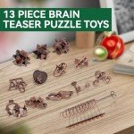 13-Piece Brain Teaser Puzzle Set for All Ages