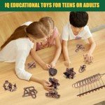 13-Piece Brain Teaser Puzzle Set for All Ages