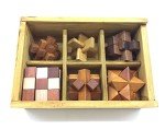 6-in-One Wooden Brain Puzzles with Storage Box