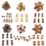6-in-One Wooden Brain Puzzles with Storage Box
