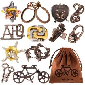 12-Piece Metal Brain Teaser Puzzle Set