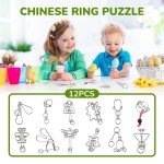 12-Piece Iron Lock Brain Teaser Puzzle Set