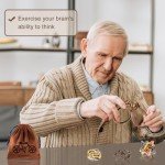 12-Piece Metal Brain Teaser Puzzle Set