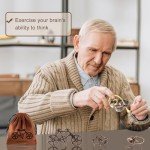 6-Piece Logic Metal Brain Teaser Puzzle Set