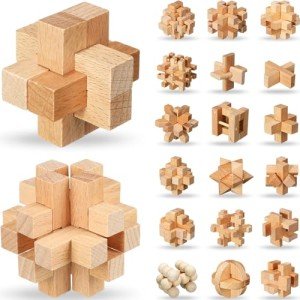 20-Piece Wooden Brain Teaser Puzzles for All Ages