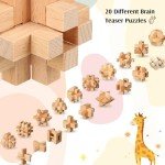 20-Piece Wooden Brain Teaser Puzzles for All Ages
