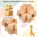 20-Piece Wooden Brain Teaser Puzzles for All Ages
