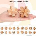 20-Piece Wooden Brain Teaser Puzzles for All Ages