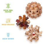 Sharp Brain Zone Wooden Lock-a-Ball Puzzle