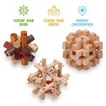 Sharp Brain Zone Wooden Lock-a-Ball Puzzle
