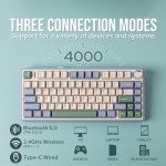 EPOMAKER Aula F75 Hot Swappable Mechanical Keyboard