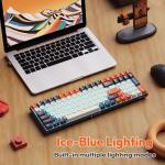 RK Royal Kludge RK100 Wireless RGB Mechanical Keyboard
